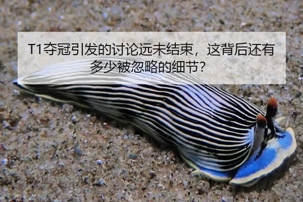 T1夺冠引发的讨论远未结束，这背后还有多少被忽略的细节？